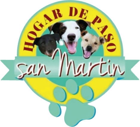 fundacion2